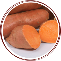 ASPMI_yam-vs-sweetpotato-orleans